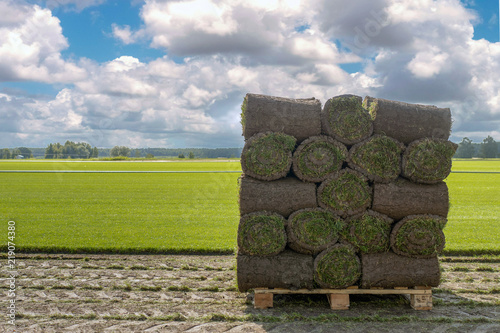 Fotografía The sod on pallets on a turf farm. Rolled lawn, green grass.