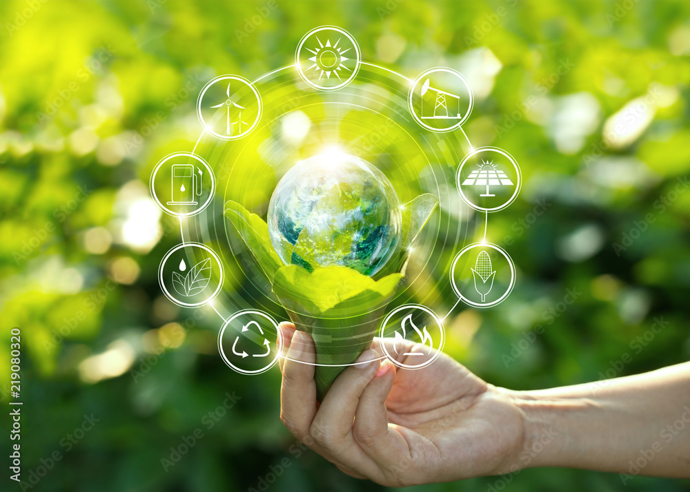 Hand holding light bulb against nature on green leaves with icons energy sources for renewable, sustainable development. Ecology concept. Elements of this image furnished by NASA. - obrazy, fototapety, plakaty 