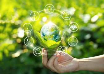 Hand holding light bulb against nature on green leaves with icons energy sources for renewable, sustainable development. Ecology concept. Elements of this image furnished by NASA.