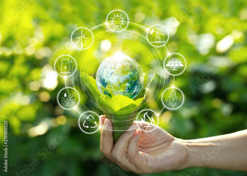 Fotomural Hand holding light bulb against nature on green leaves with icons energy sources for renewable, sustainable development