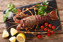 Preparation For Cooking Food Spiny Lobster Or Sea Crayfish With Fresh Ingredients Close-up On A Table. Horizontal Top View