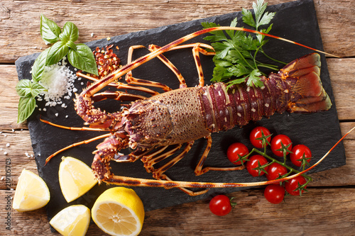 Fotomural Preparation for cooking food spiny lobster or sea crayfish with fresh ingredients close-up on a table