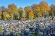 French cemetary in autumn, 2 weeks after the celebration of the Toussaint (All Saints Day)