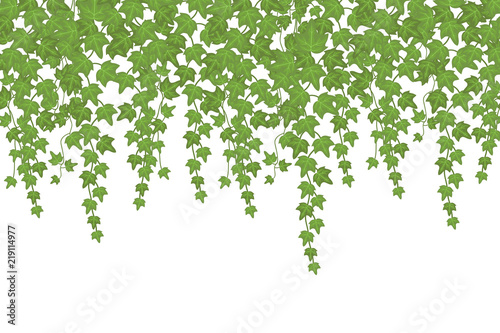 Green ivy wall climbing plant hanging from above Tableau sur Toile
