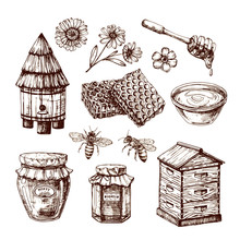 Honey Sketch. Bee And Honeyed Flower, Honeycomb And Hive. Hand Drawn Vintage Vector Isolated Set
