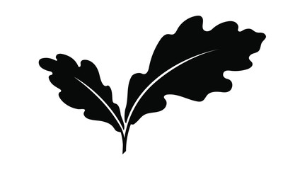 oak leaves graphic icon. oak leaves sign isolated on white background. flat style. pictogram for web