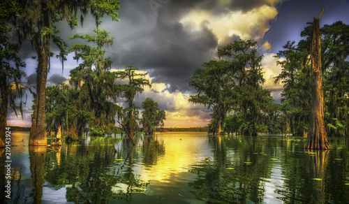 Obraz Dibond Bayou de Lafayette
