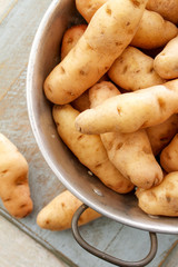 Wall Mural - preparing heritage potatoes