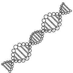 Wall Mural - diagonal dna chain science monochrome vector illustration design