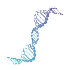 Wall Mural - diagonal dna chain science blue color vector illustration design