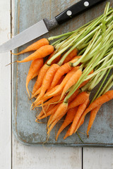 Canvas Print - preparing baby carrots