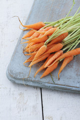 Canvas Print - preparing baby carrots