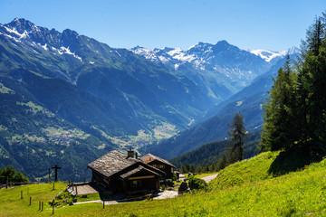 Wall Mural - Scenic view of beautiful landscape in Swiss Alps. Fresh green meadows and snow-capped mountain tops in the background in springtime, Switzerland.