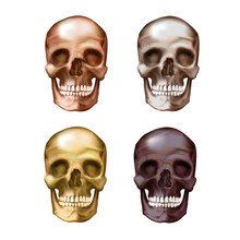Vector. Illustration Of A Skull. Bronze, Gold, Metallic, Burgundy Color