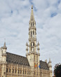 Brüssel - Grand Place - Herz und Bühne der Stadt (Blumenteppich 2018) 