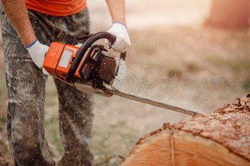 Close-up of woodcutter lumberjack is man chainsaw tree.