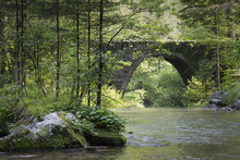 The Spring Of The Forest River With Magic Old Stone Bridge, The Kamnik Bistrica, Slovenia. 