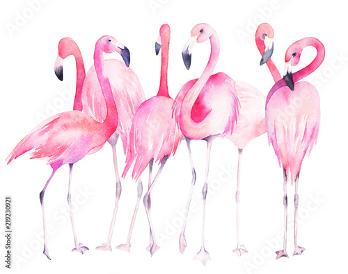 Watercolor flamingos. Hand drawn summer illustration