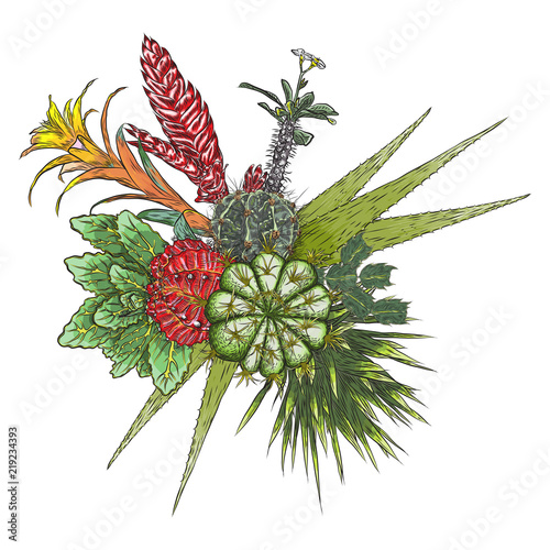 Flowers Bouquet Fl Collection With Various Exotic Jungle Flowers Bouquet Fl Collection With