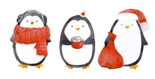 Watercolor Christmas Baby Penguin Set