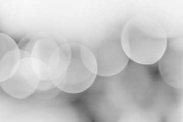 Wall Mural - abstract bokeh night garden in city background