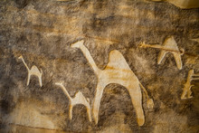 Carved Camels