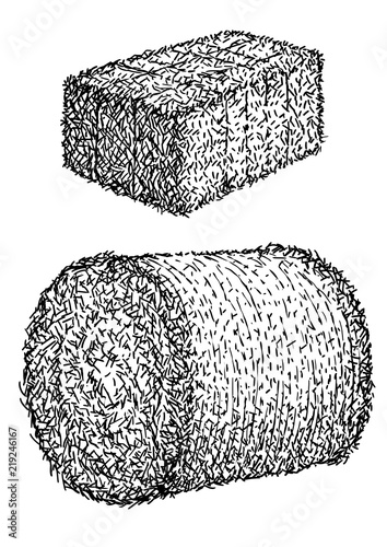 Cuadros en Lienzo Hay, bale illustration, drawing, engraving, ink, line art, vector