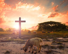   Resurrection Concept: The Lamb Of God In Front Of The Cross Of Christ Jesus