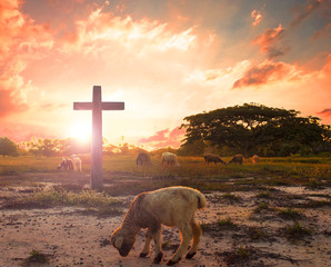 Wall Mural - resurrection concept: the lamb of god in front of the cross of christ jesus