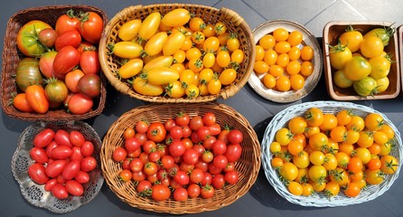  Tomatoes.