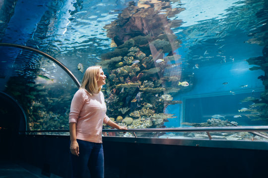 Woman in the aquarium watching the fish