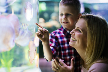 Wall Mural - Mother and son watching sea life in oceanarium