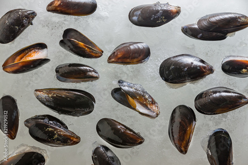 Fotografie, Obraz Scattered fresh cooked marine mussels on ice