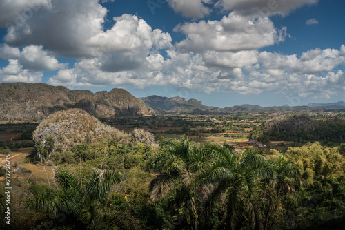 Fotomural Vinales Valley // Tal