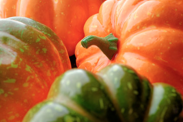 Wall Mural - Group of orange and green pumpkins