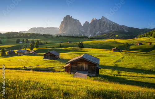Fotografía  Seiser Alm (Alpe di Siusi) with Langkofel mountain at sunrise in summer, Italy
