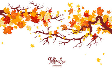Wall Mural - autumn nature branch