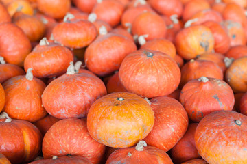 Canvas Print - pumpkins, autumnal harvest, small pumpkin, texture or autumn background