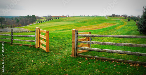 Cuadros en Lienzo Woodstock / The field where the Woodstock Rock Festival was held in 1969