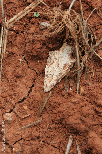 Fotografia Authentic Native American Indian Arrowhead in dirt