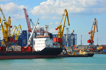 Bulk cargo ship under port crane