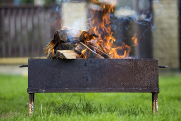 Brightly burning in metal box firewood for barbecue outdoor. Camping, safety and tourism concept.