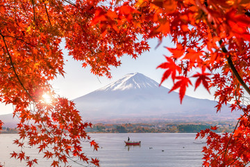 colorful autumn season and mountain fuji