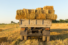Straw On The Field, People Pick Bales On The Truck