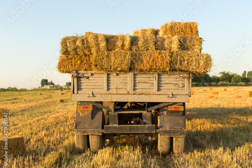 Fotografía Straw on the field, people pick bales on the truck