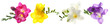 Leinwandbild Motiv Set with Freesia flowers on white background