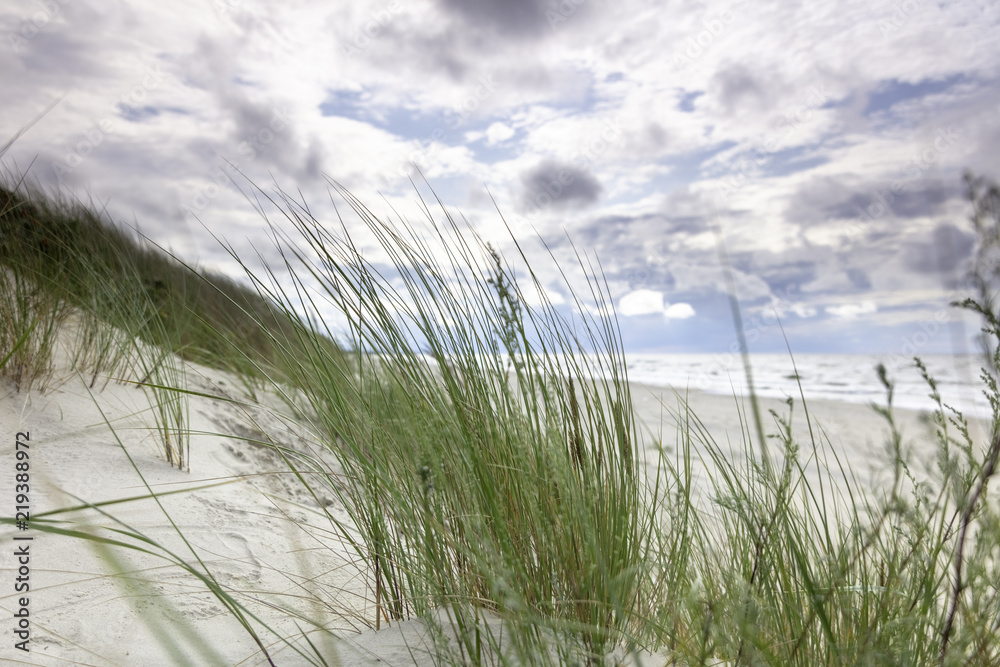 Morze Bałtyckie, widok z niebieskim bezchmurnym niebem - obrazy, fototapety, plakaty 