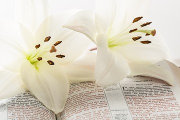 Canvas Print - bible book and white lily flower
