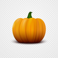 Realistic Orange Vector Pumpkin Isolated On Transparent Background. Single Fresh Vegetable Close-up