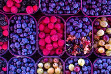 Wall Mural - Background of forest fruit and berries in plastic trays at market.